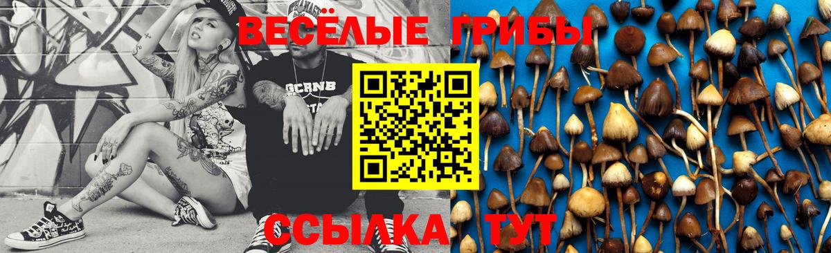 хочу наркоту  Галлюциногенные грибы Psilocybine cubensis  Вход с VPN  Карачаевск 